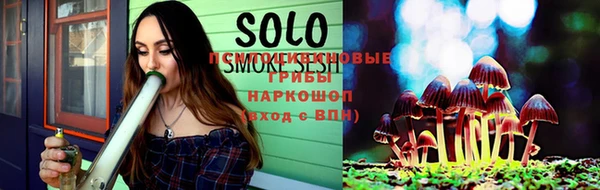 ПСИЛОЦИБИНОВЫЕ ГРИБЫ Алексеевка