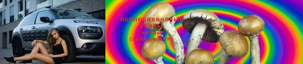 ПСИЛОЦИБИНОВЫЕ ГРИБЫ Алексеевка