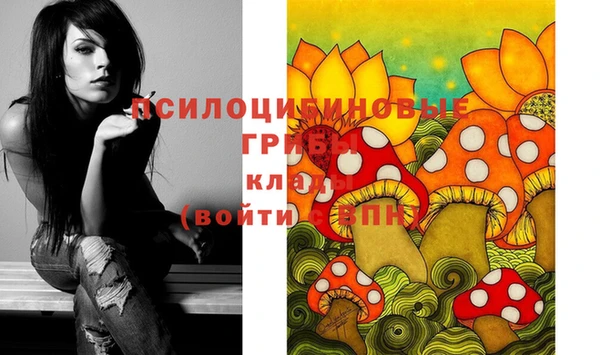 тгк Алексин