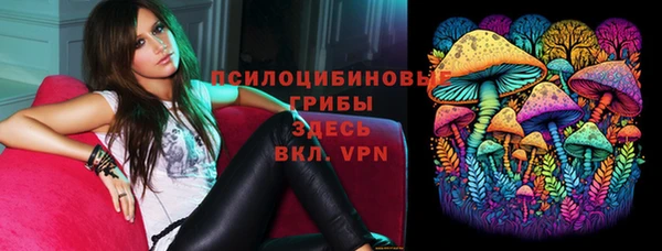 ПСИЛОЦИБИНОВЫЕ ГРИБЫ Алексеевка