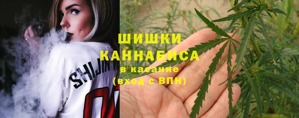 ПСИЛОЦИБИНОВЫЕ ГРИБЫ Алексеевка