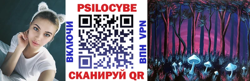 Псилоцибиновые грибы мухоморы  блэк спрут как войти  Чебоксары 