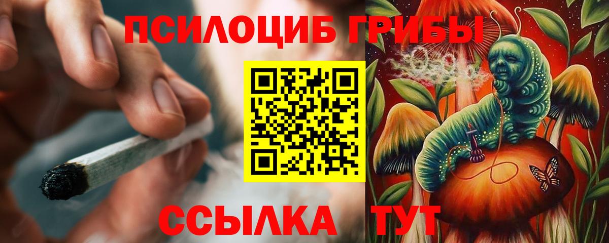 Галлюциногенные грибы MAGIC MUSHROOMS  Вход с VPN  Чебоксары 